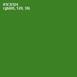 #3C8124 - Forest Green Color Image