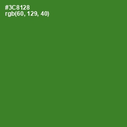 #3C8128 - Forest Green Color Image