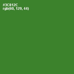 #3C812C - Forest Green Color Image