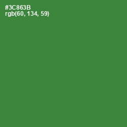 #3C863B - Forest Green Color Image