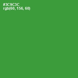 #3C9C3C - Forest Green Color Image