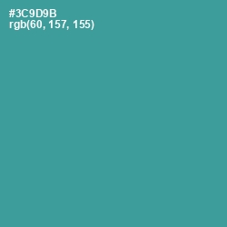 #3C9D9B - Lochinvar Color Image