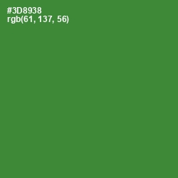 #3D8938 - Forest Green Color Image