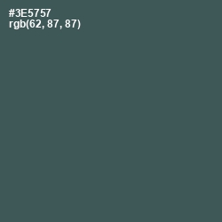 #3E5757 - Mineral Green Color Image