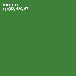 #3E8139 - Forest Green Color Image