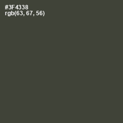 #3F4338 - Lunar Green Color Image