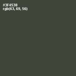 #3F4538 - Lunar Green Color Image
