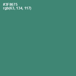 #3F8675 - Sea Green Color Image