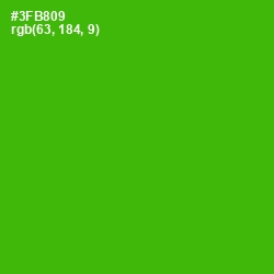 #3FB809 - La Palma Color Image
