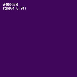 #40065B - Ripe Plum Color Image