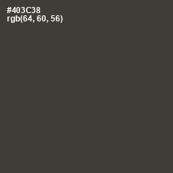 #403C38 - Masala Color Image