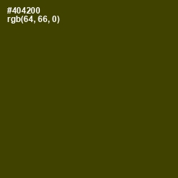 #404200 - Bronze Olive Color Image