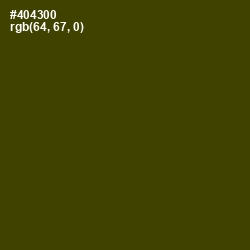 #404300 - Bronze Olive Color Image