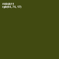 #404A11 - Bronzetone Color Image