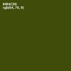 #404C09 - Bronze Olive Color Image