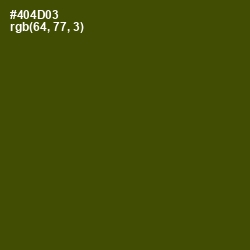 #404D03 - Bronze Olive Color Image