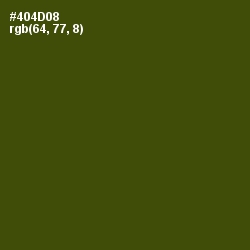 #404D08 - Bronze Olive Color Image