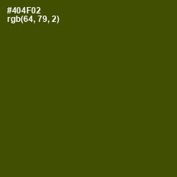 #404F02 - Bronze Olive Color Image