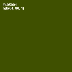 #405001 - Verdun Green Color Image