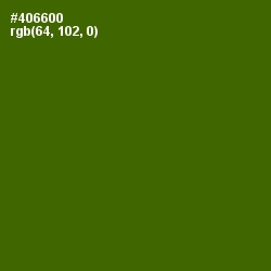 #406600 - Green Leaf Color Image