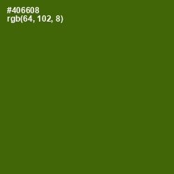 #406608 - Green Leaf Color Image