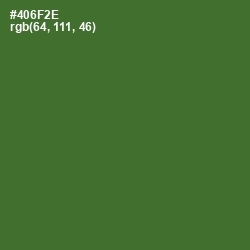 #406F2E - Chalet Green Color Image
