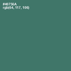 #40756A - Faded Jade Color Image