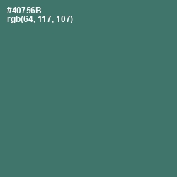 #40756B - Faded Jade Color Image