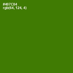 #407C04 - Green Leaf Color Image