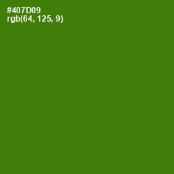 #407D09 - Green Leaf Color Image