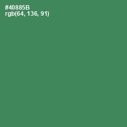 #40885B - Hippie Green Color Image