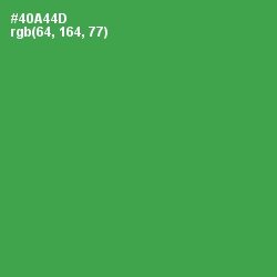 #40A44D - Chateau Green Color Image