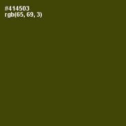 #414503 - Bronze Olive Color Image