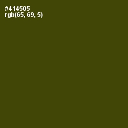 #414505 - Bronze Olive Color Image