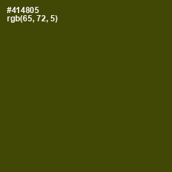 #414805 - Bronze Olive Color Image