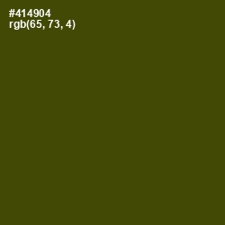 #414904 - Bronze Olive Color Image
