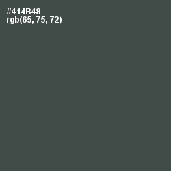 #414B48 - Gravel Color Image