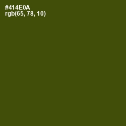 #414E0A - Bronze Olive Color Image