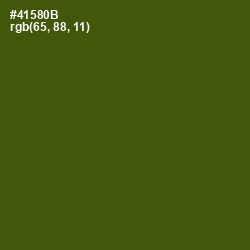 #41580B - Verdun Green Color Image