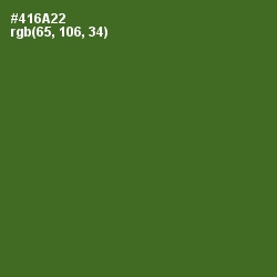 #416A22 - Chalet Green Color Image