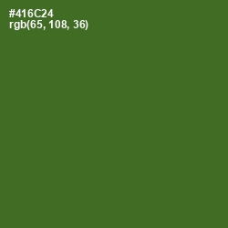 #416C24 - Chalet Green Color Image