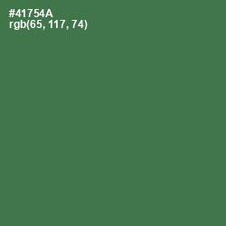 #41754A - Fern Green Color Image
