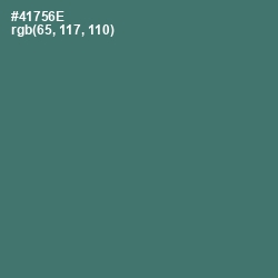 #41756E - Faded Jade Color Image
