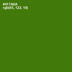 #417A0A - Green Leaf Color Image