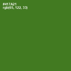 #417A21 - Chalet Green Color Image
