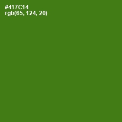 #417C14 - Green Leaf Color Image