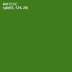 #417C1C - Green Leaf Color Image