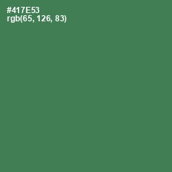 #417E53 - Fern Green Color Image