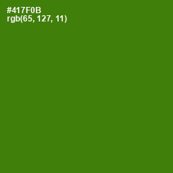 #417F0B - Green Leaf Color Image