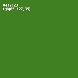 #417F23 - Chalet Green Color Image